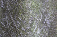 Killylea fibreglass roof work